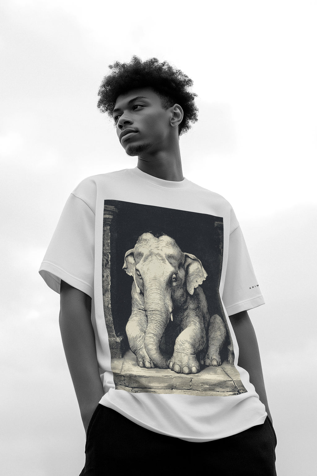 ANIMA I – Men's Heavyweight Tee | 305 GSM Oversized