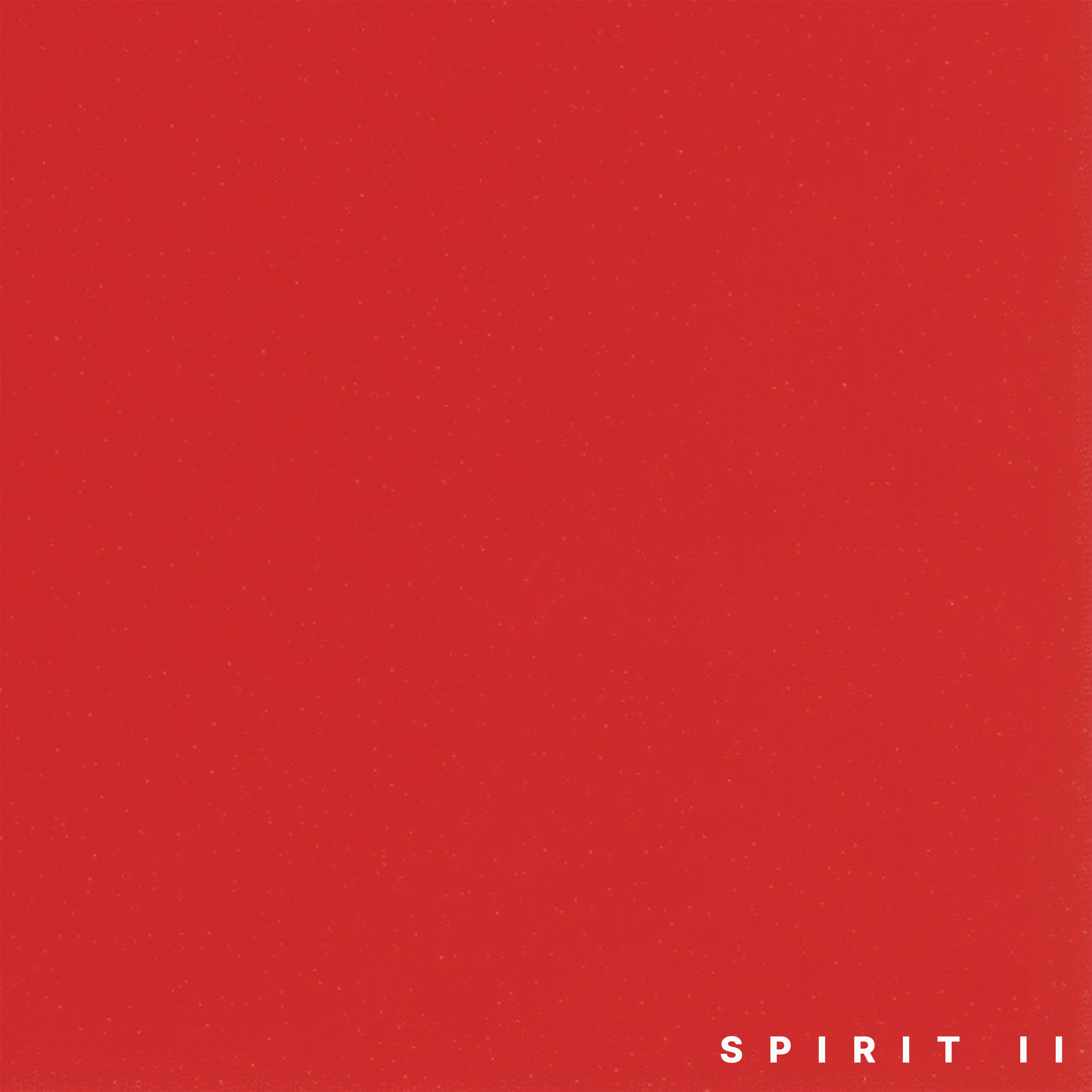 SPIRIT II – Women's Heavyweight Tee | 305 GSM Oversized