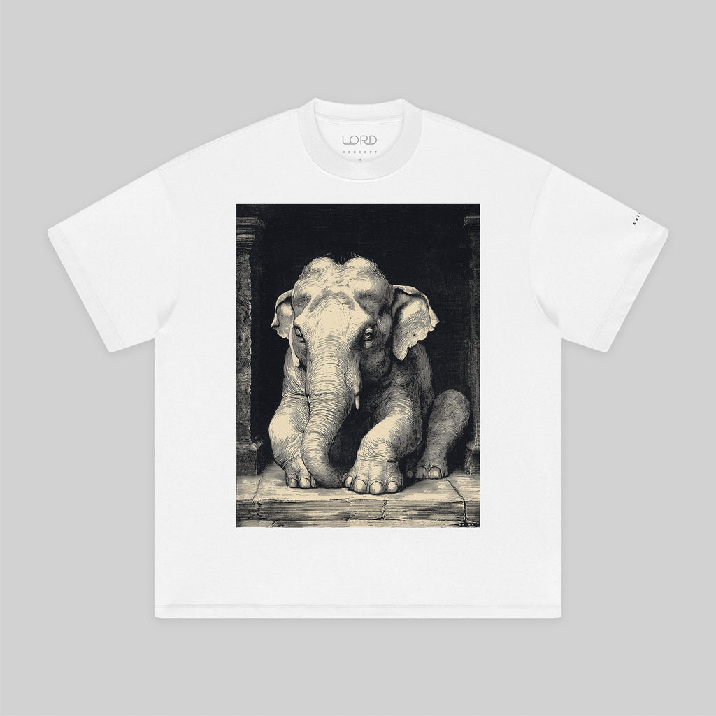 ANIMA I – Men's Heavyweight Tee | 305 GSM Oversized