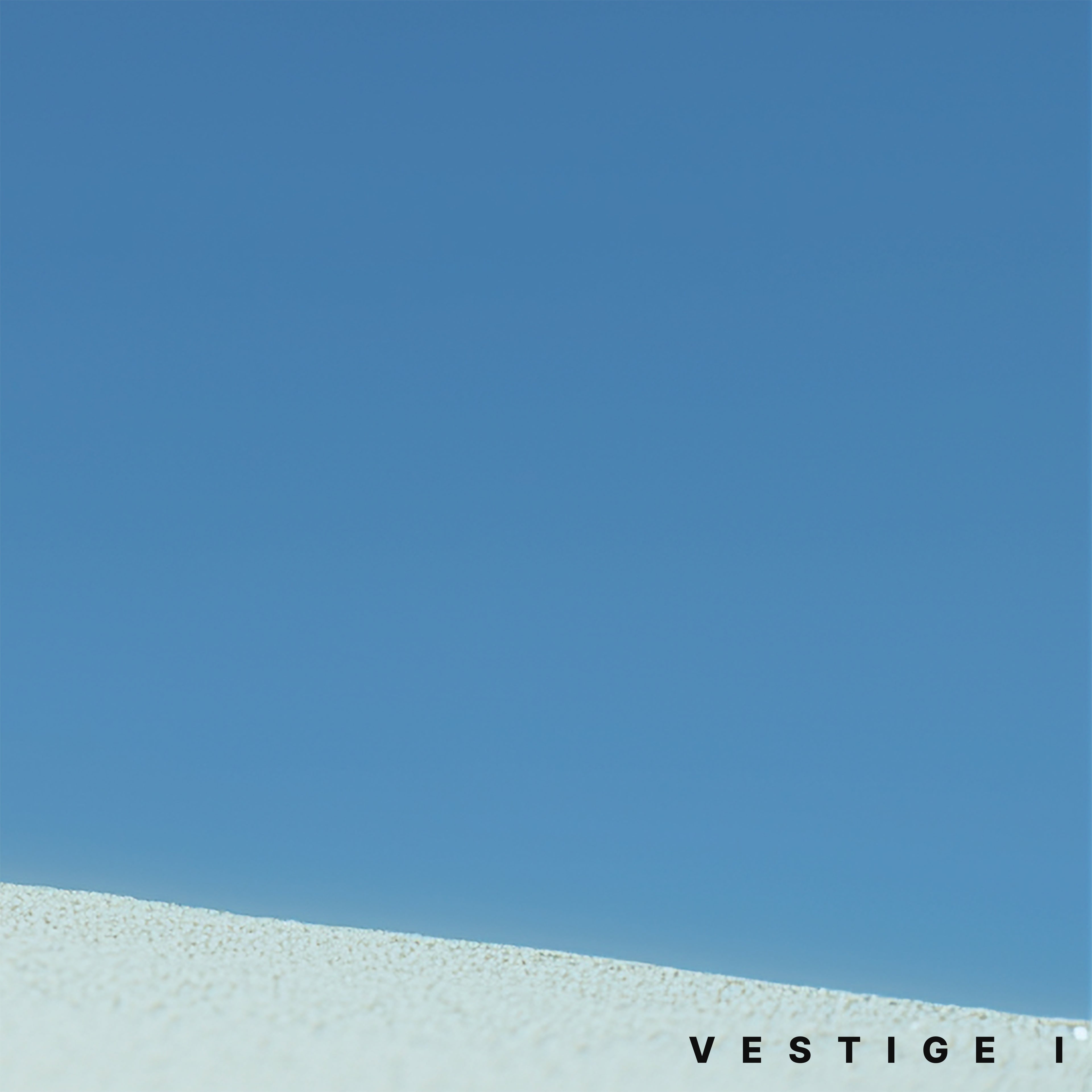 VESTIGE I – Men's Heavyweight Tee | 305 GSM Oversized